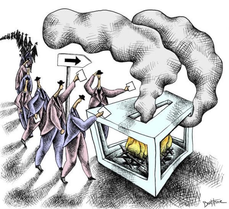 democracy cartoon