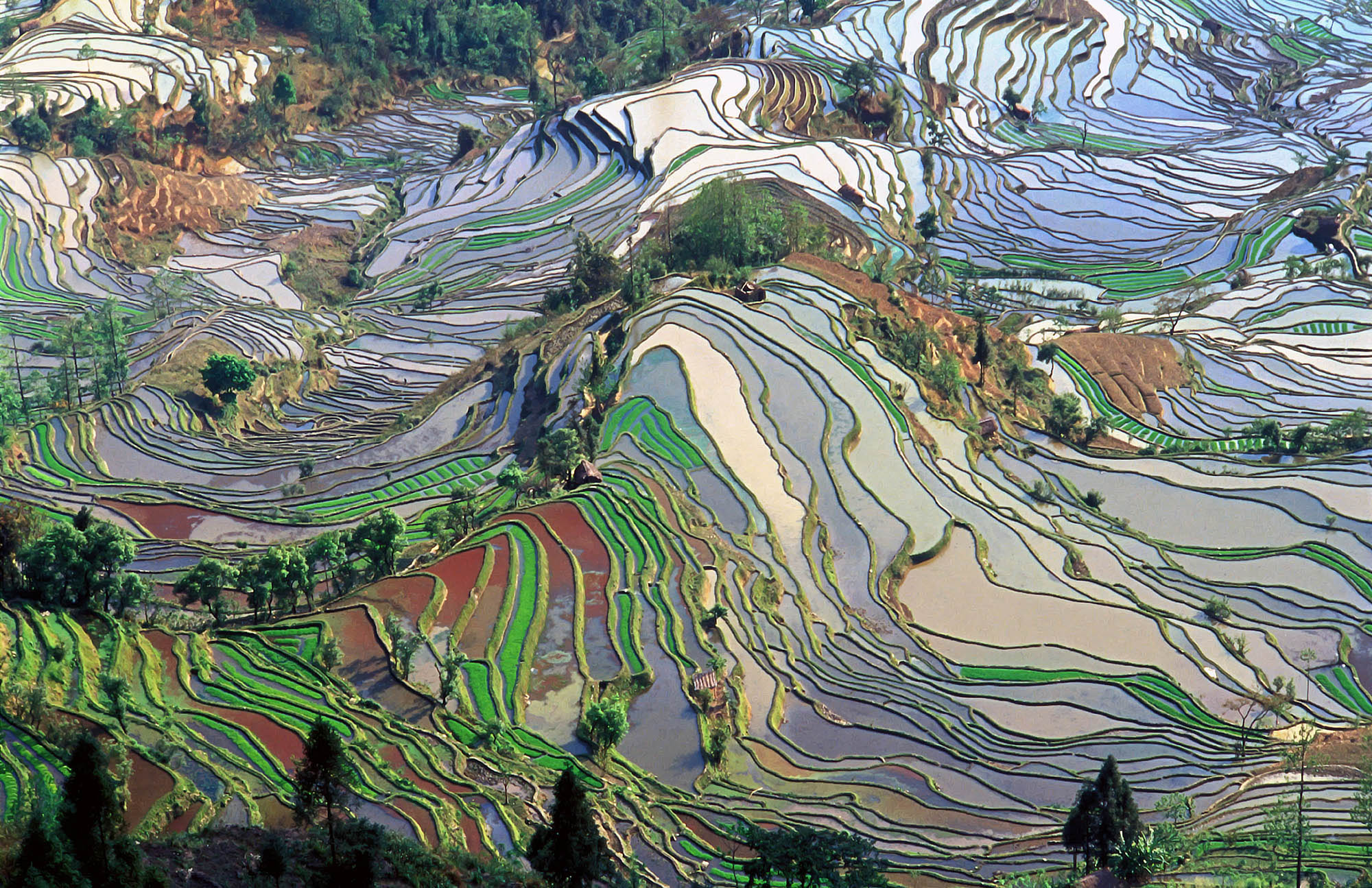 Terrace_field_yunnan_china_denoised