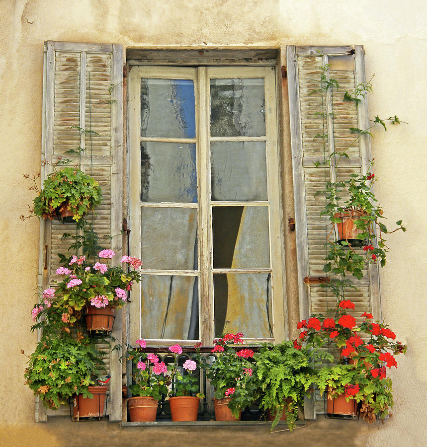 flower-window